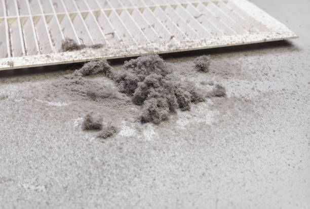Best Ventilation Cleaning Services  in Ellettsville, IN