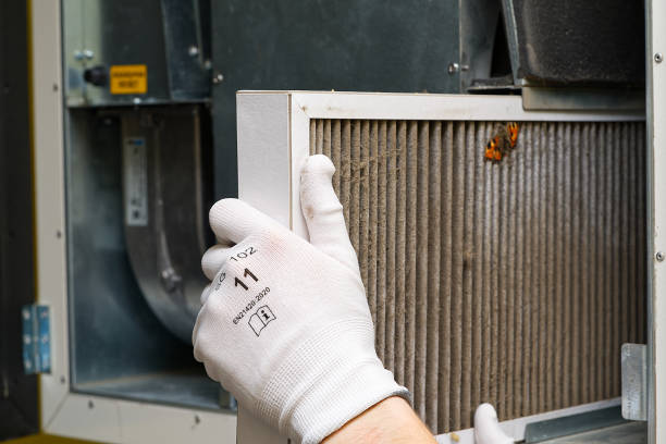 Best Emergency Air Duct Cleaning  in Ellettsville, IN