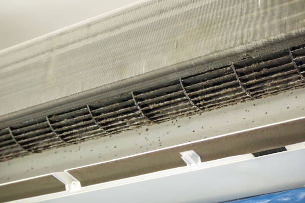 Best Air Duct Cleaning Near Me  in Ellettsville, IN