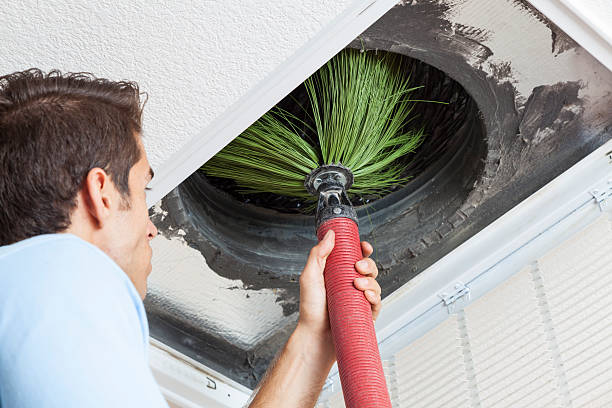 Best Duct Cleaning for Homes  in Ellettsville, IN
