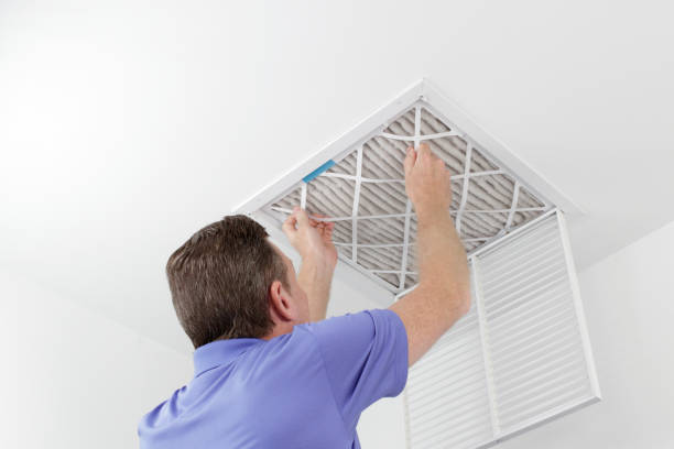 Best Ductwork Cleaning Services  in Ellettsville, IN